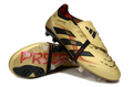 PREDATOR 25 ELITE FG